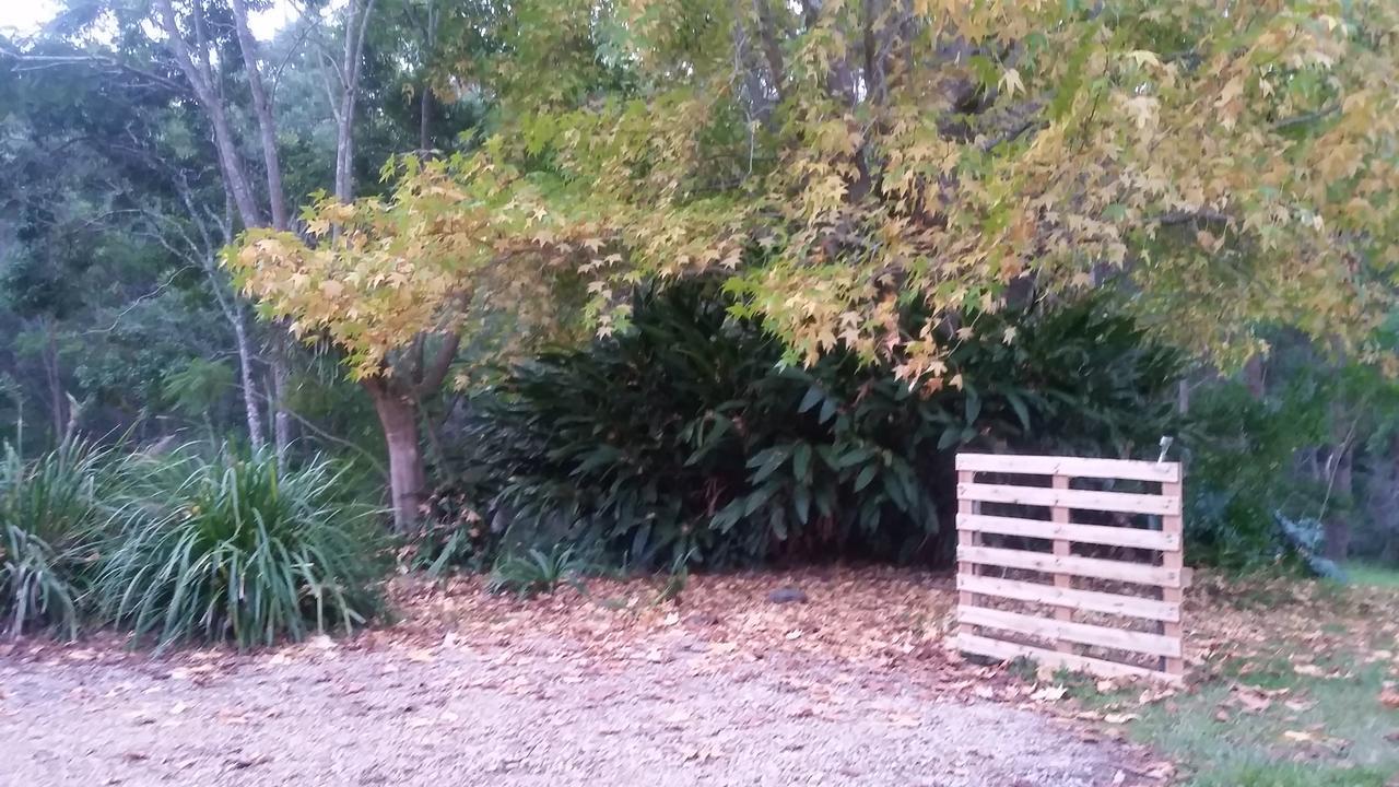 Forest View Bungalow Nambucca Heads Exterior foto